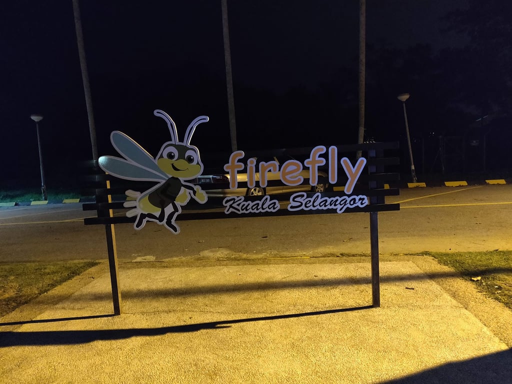 Firefly Boat Tour