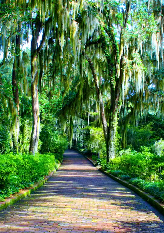Alfred B. Maclay Gardens State Park
