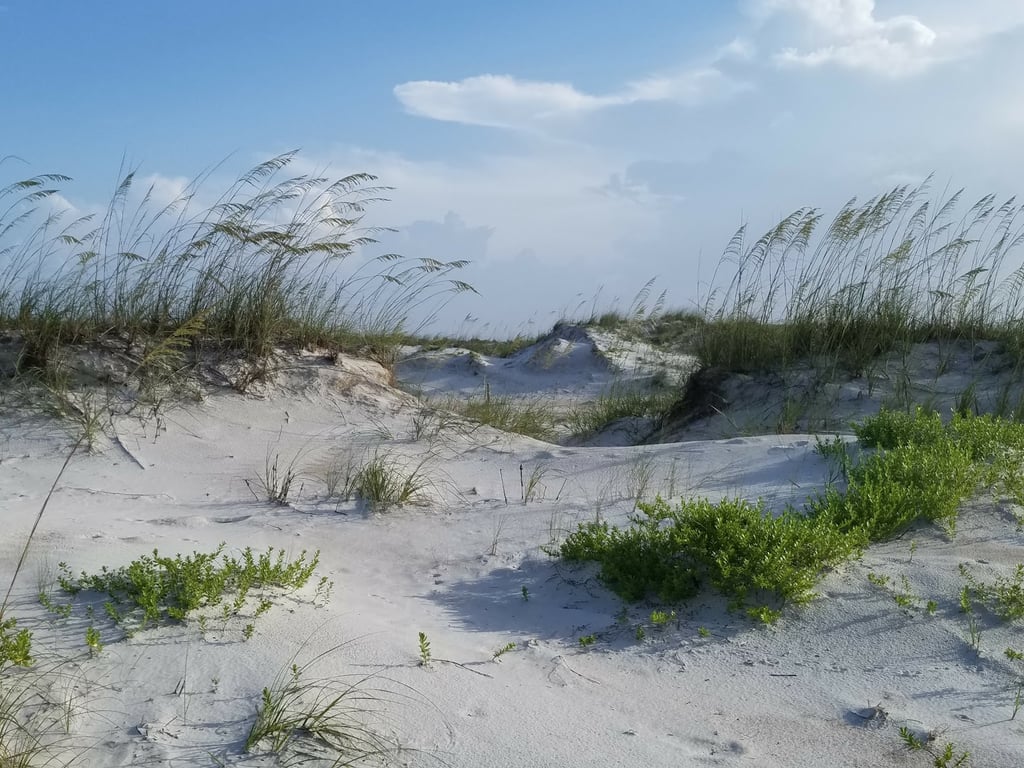 Anastasia State Park