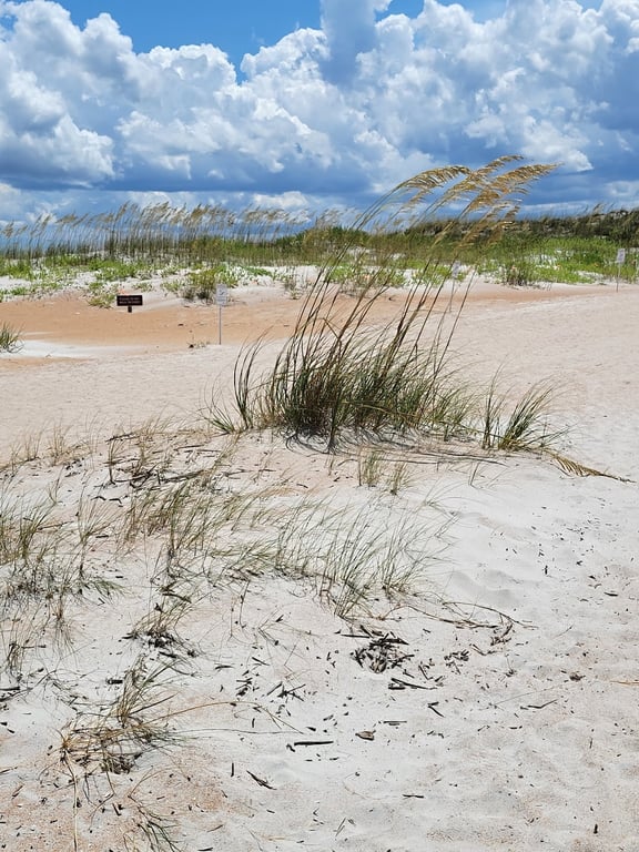 Anastasia State Park