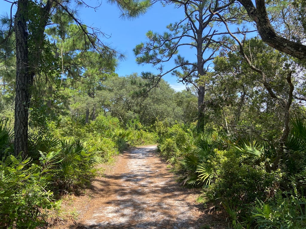 Big Talbot Island State Park