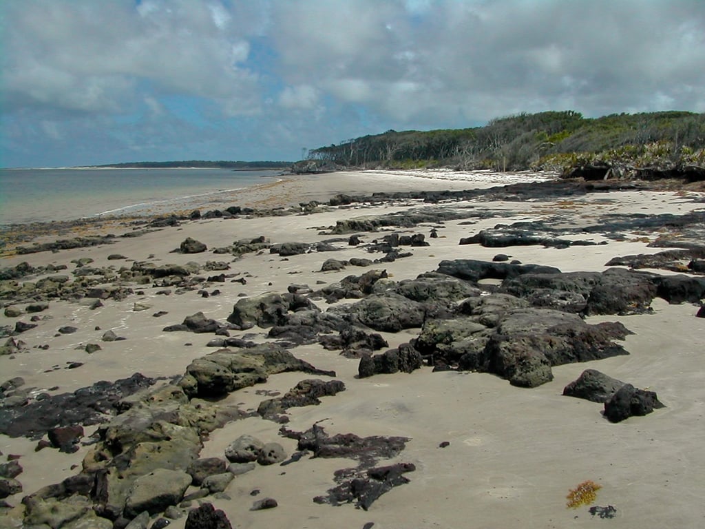 Big Talbot Island State Park