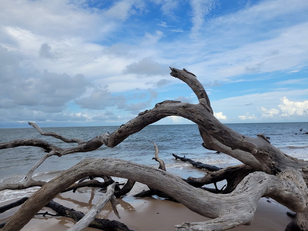 Big Talbot Island State Park