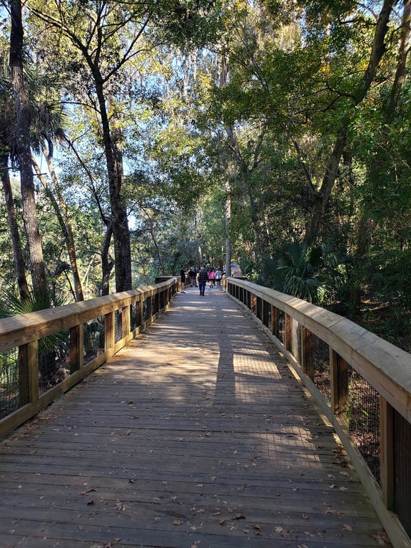 Blue Spring State Park