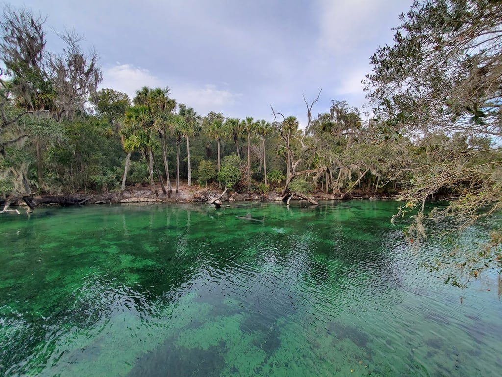 Blue Spring State Park