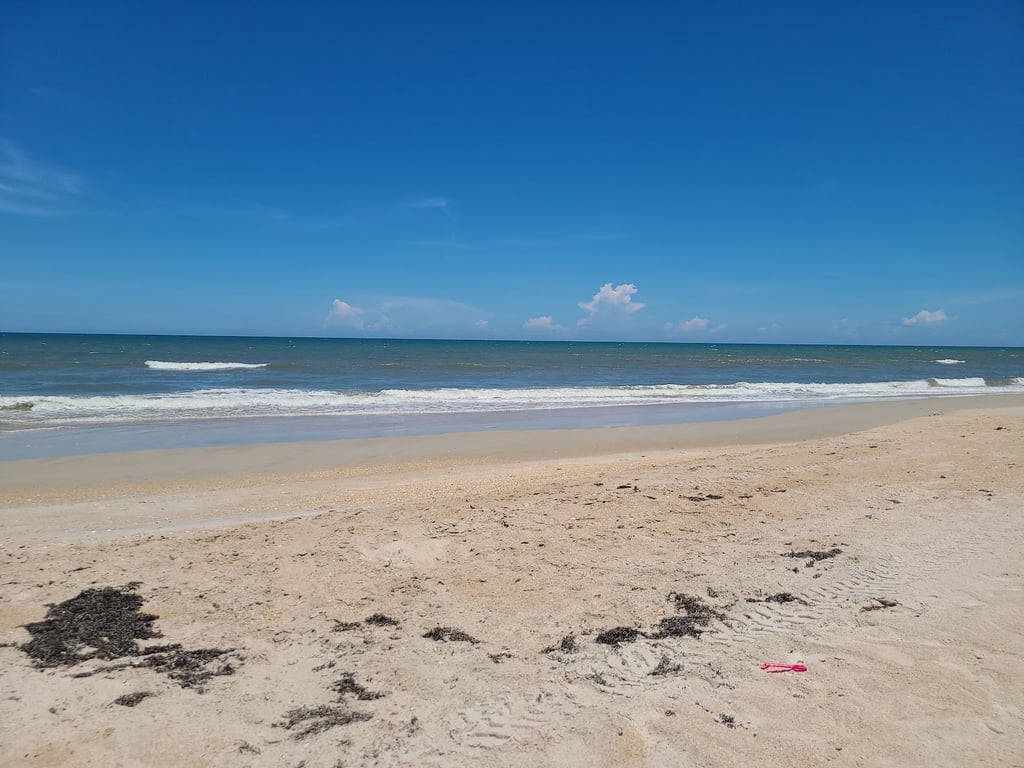 Canaveral National Seashore