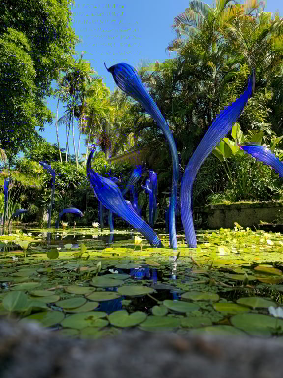 Fairchild Tropical Botanic Garden