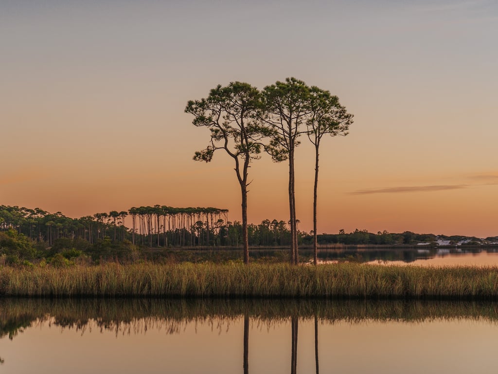 Grayton Beach State Park