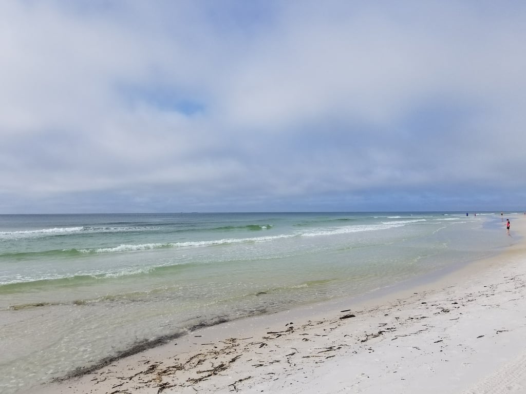 Henderson Beach State Park
