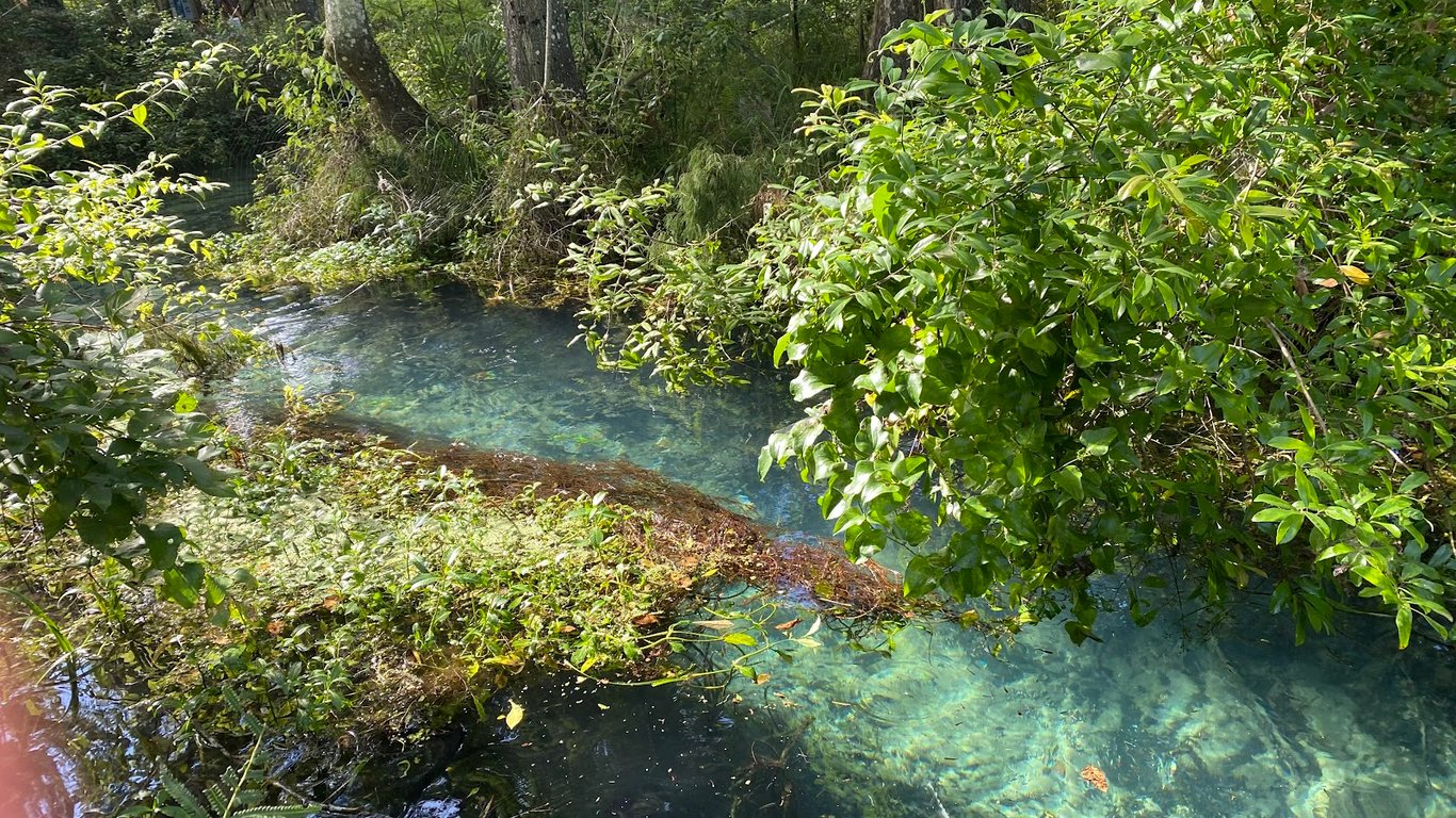 Ichetucknee Springs State Park