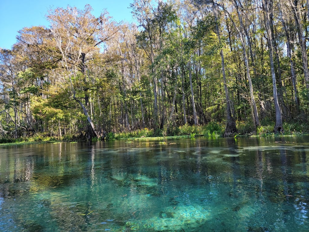 Ichetucknee Springs State Park