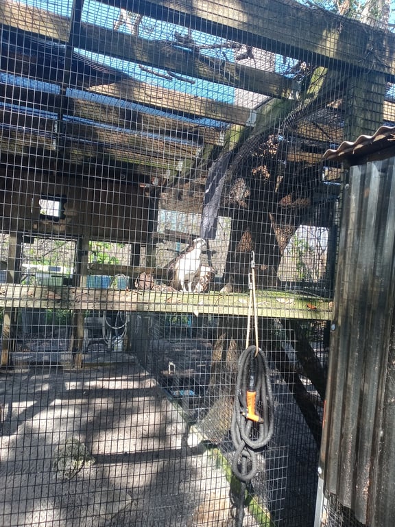 Peace River Wildlife Center