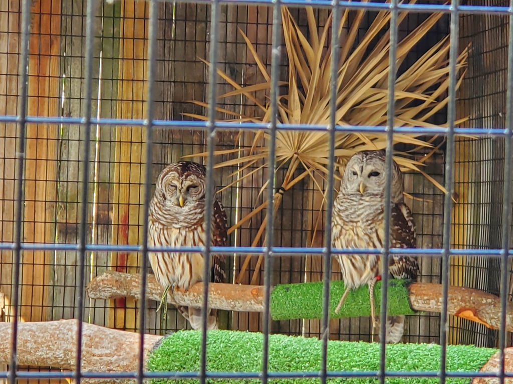 Peace River Wildlife Center