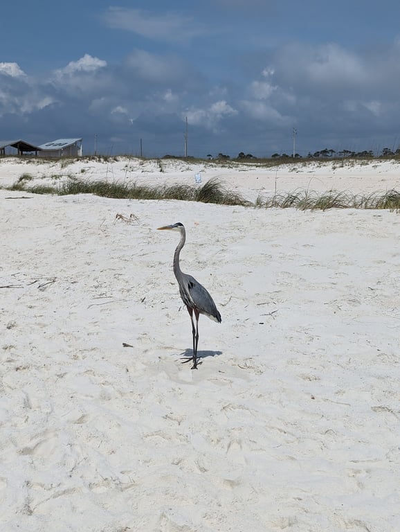 Perdido Key State Park