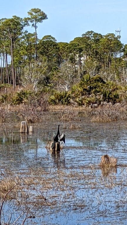 St. Andrews State Park
