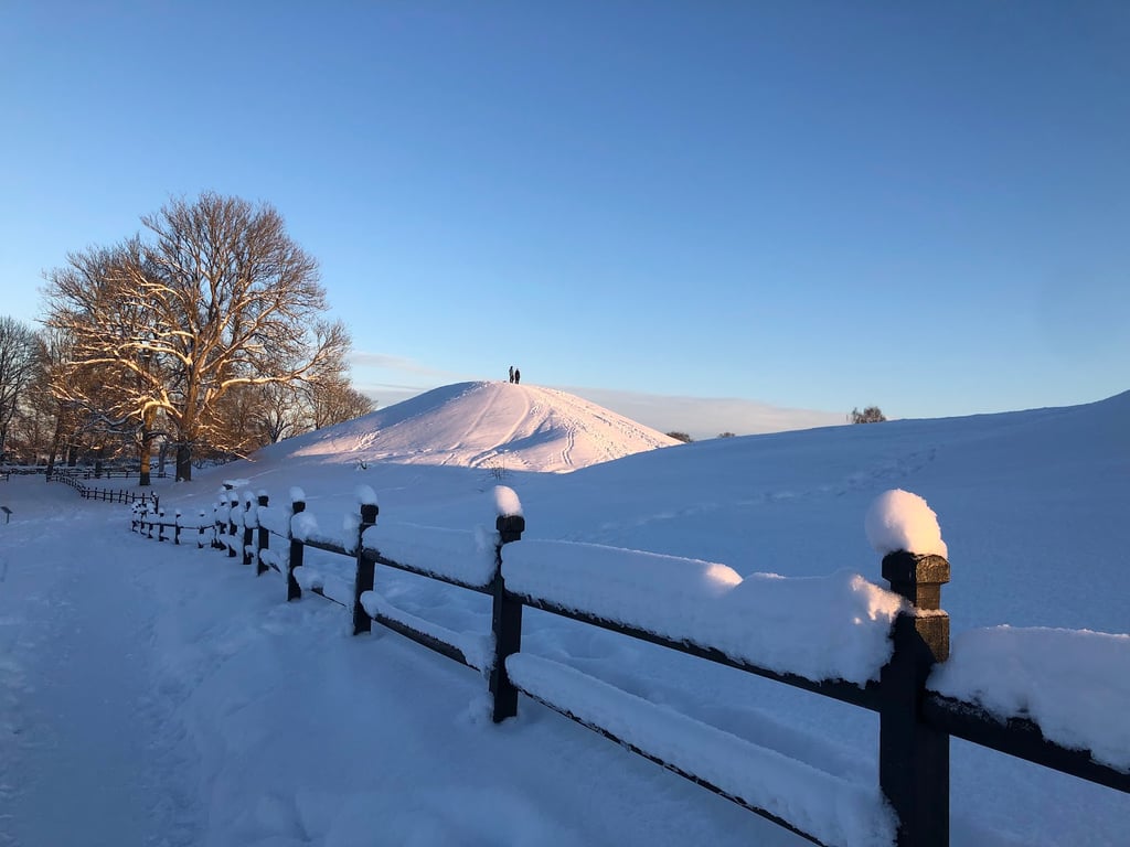 Gamla Uppsala Mounds