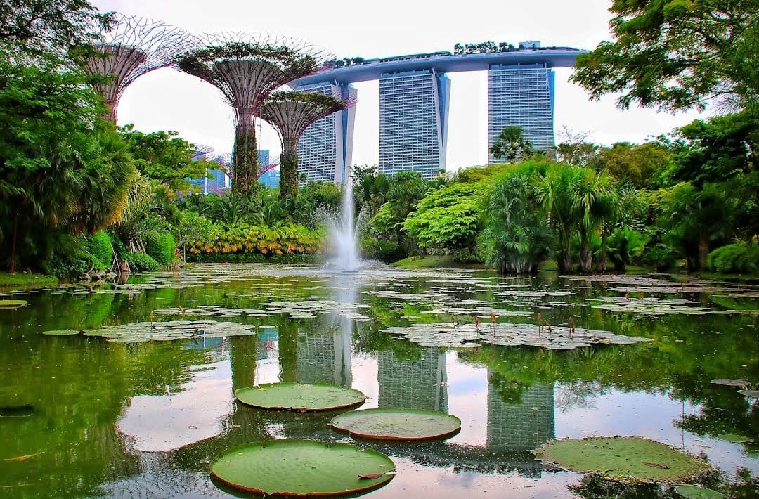 Gardens by the Bay