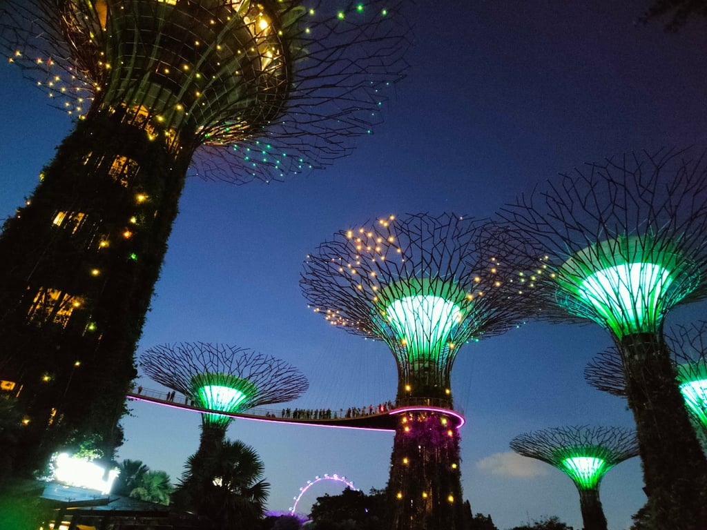 Gardens by the Bay