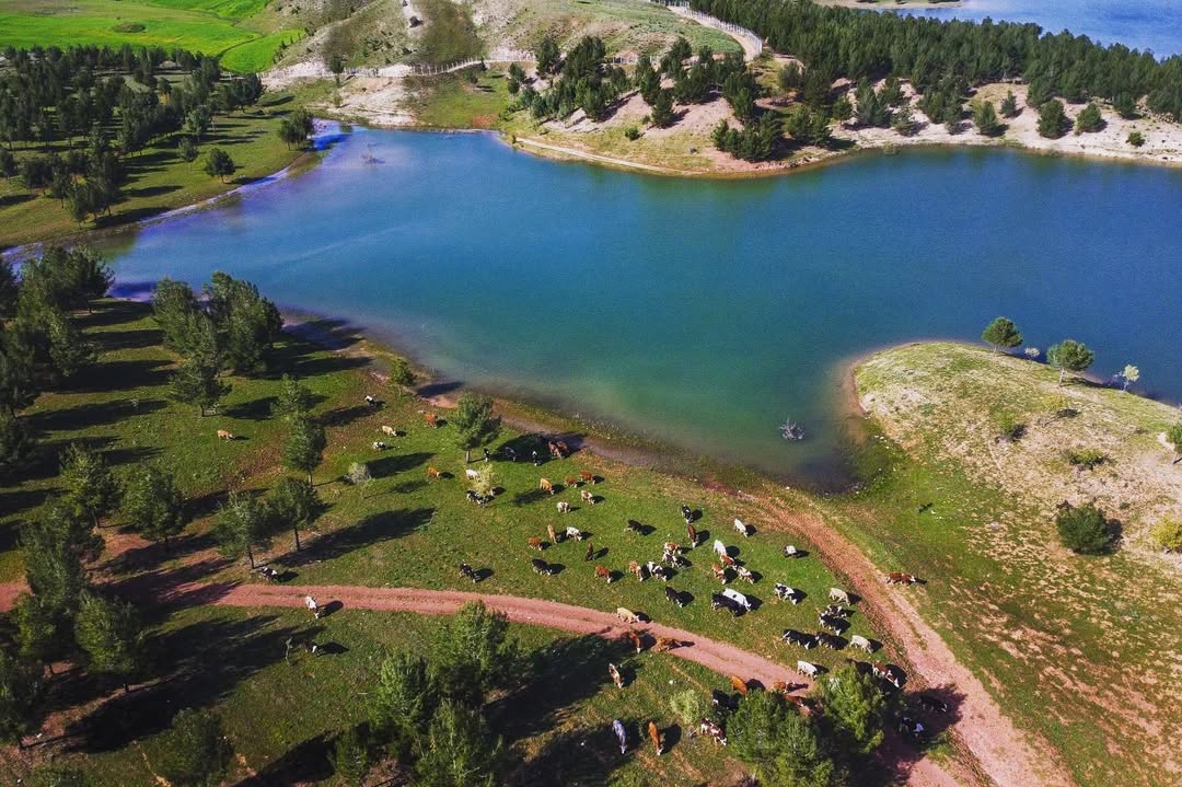 Burç Göleti
