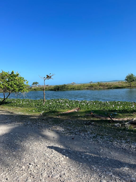 Gelée Beach