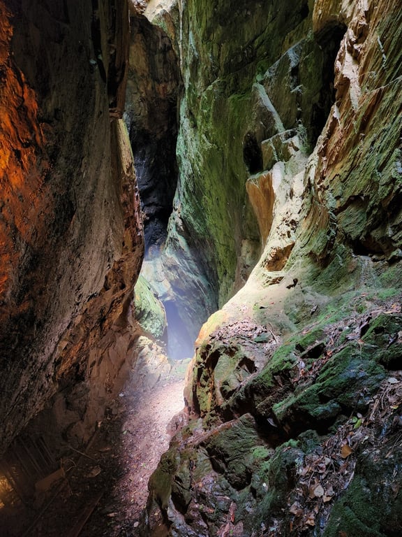 Consolidated Gold Mine