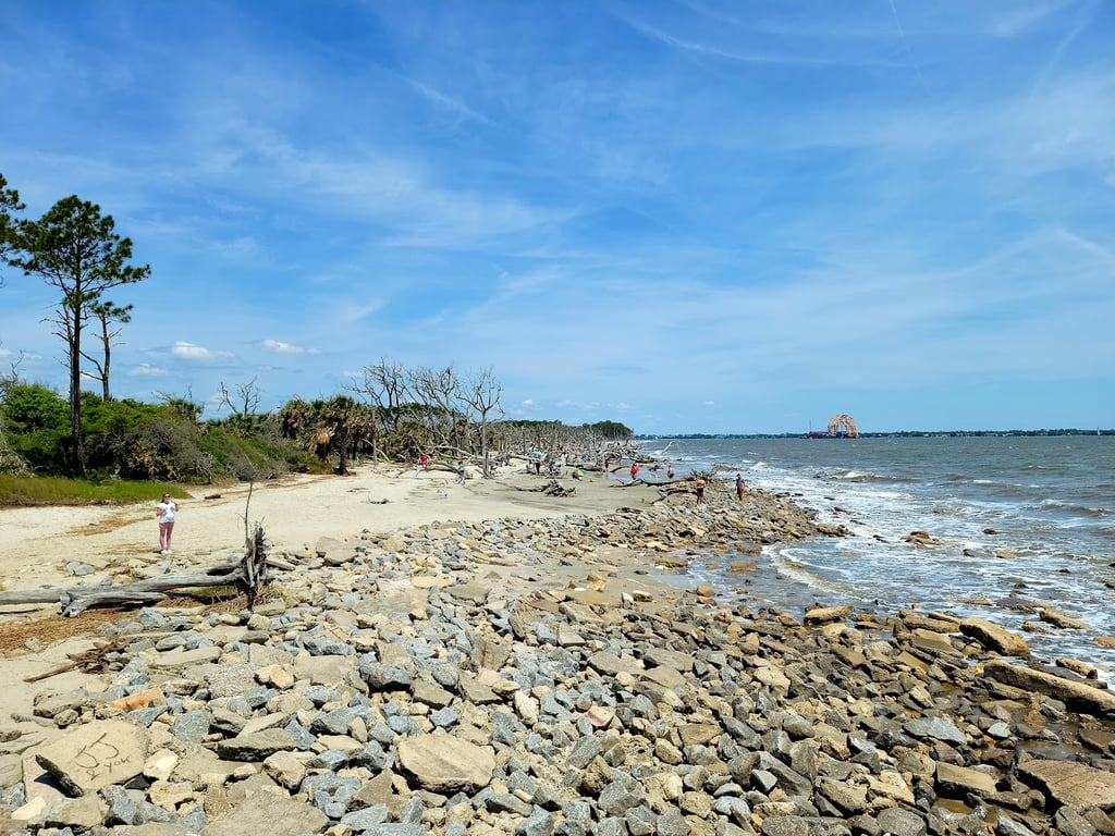 Driftwood Beach