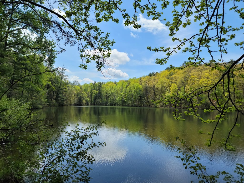 Fort Mountain State Park Overlook