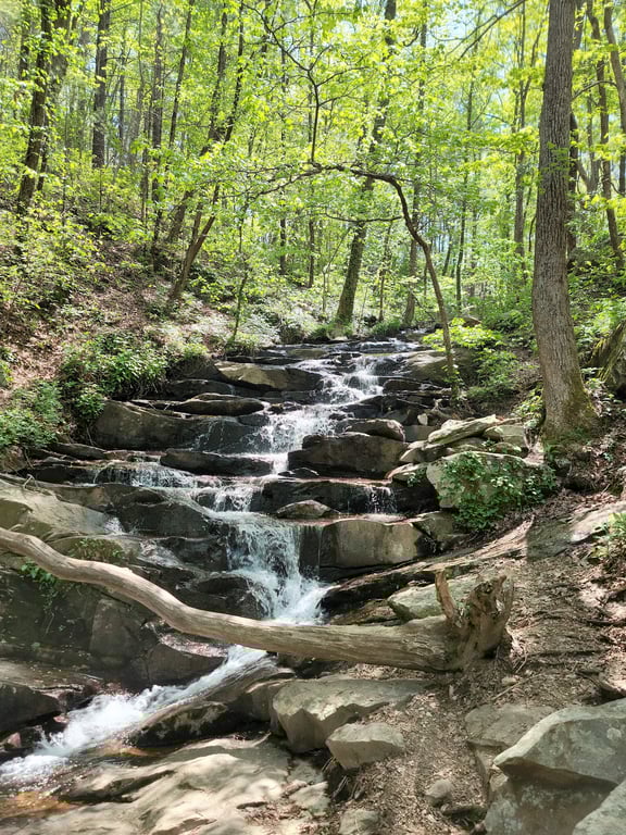 Fort Mountain State Park Overlook