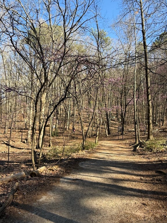 Kennesaw Mountain National Battlefield