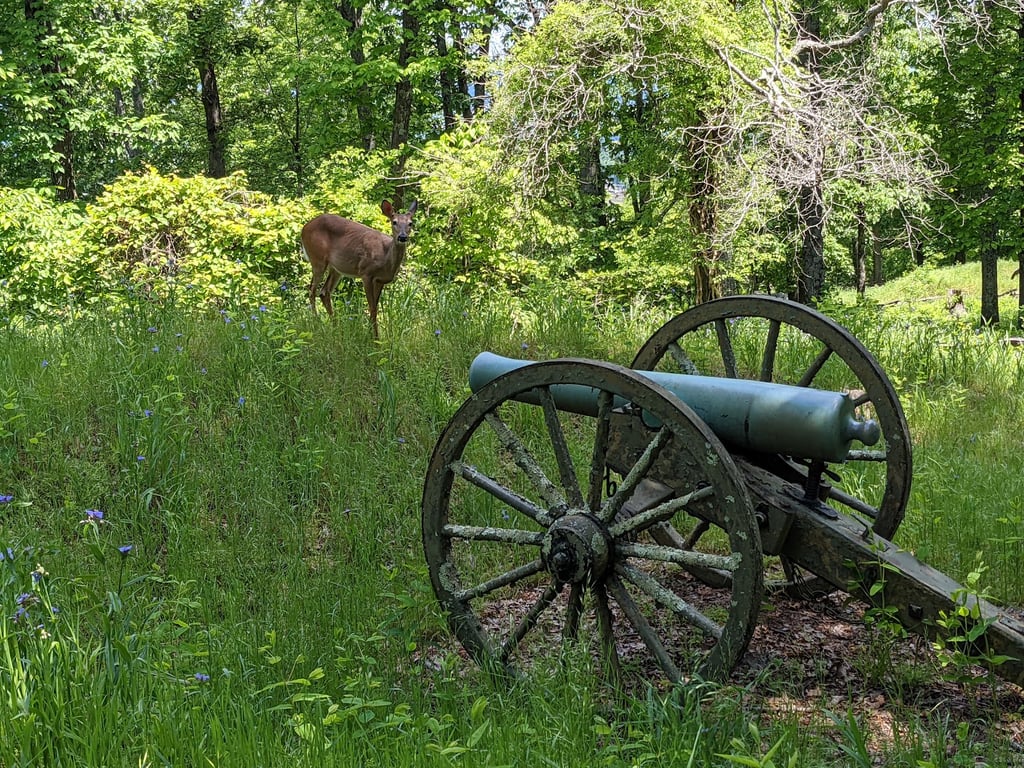 Kennesaw Mountain Overlook