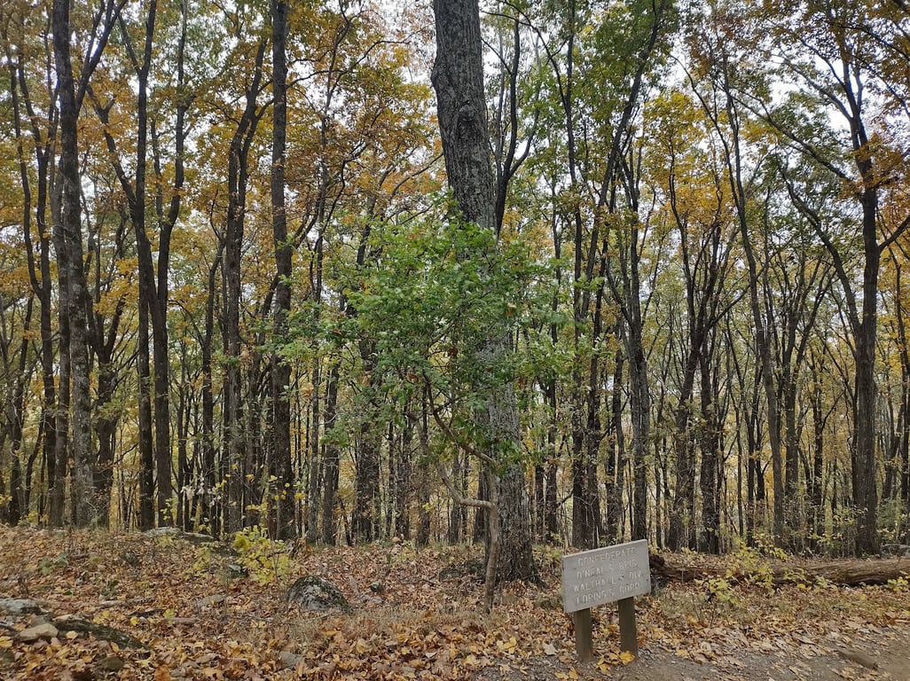 Kennesaw Mountain Overlook