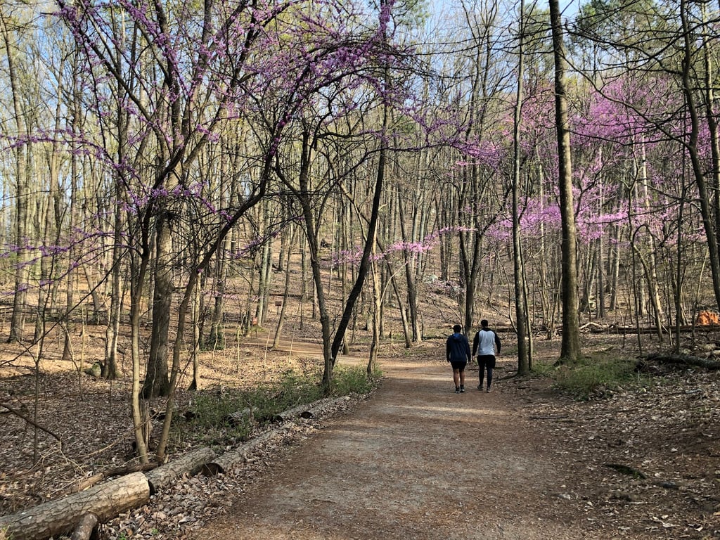 Kennesaw Mountain Overlook