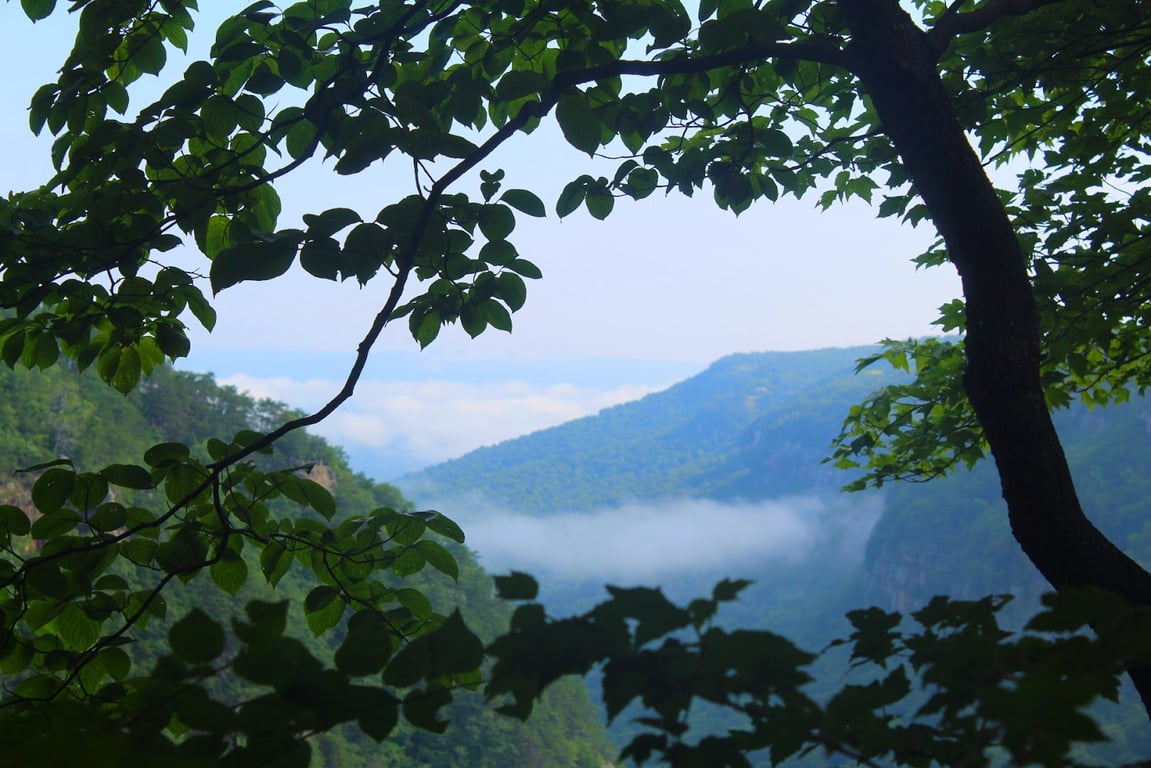 Main Overlook