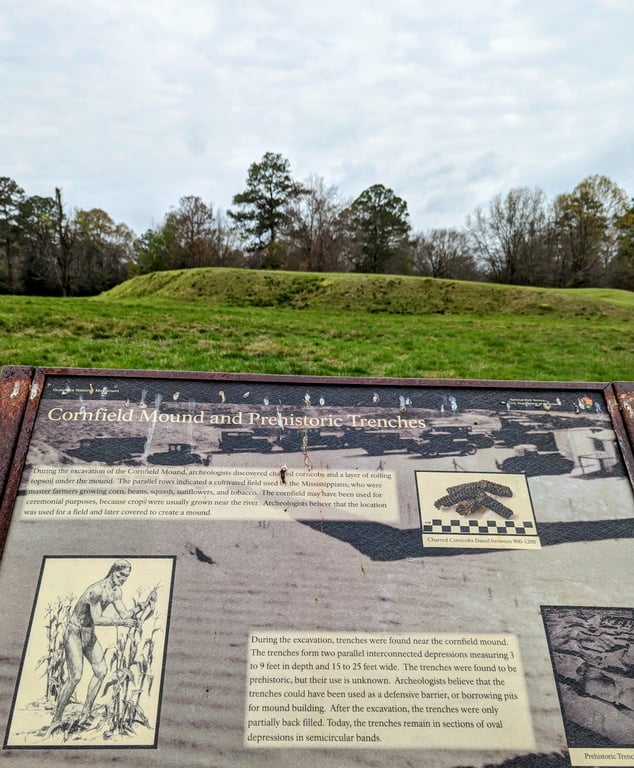 Ocmulgee Mounds