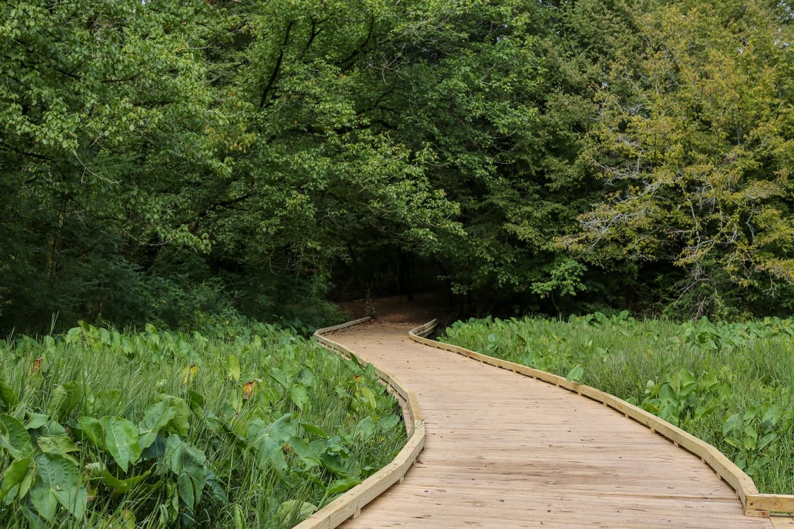State Botanical Garden of Georgia