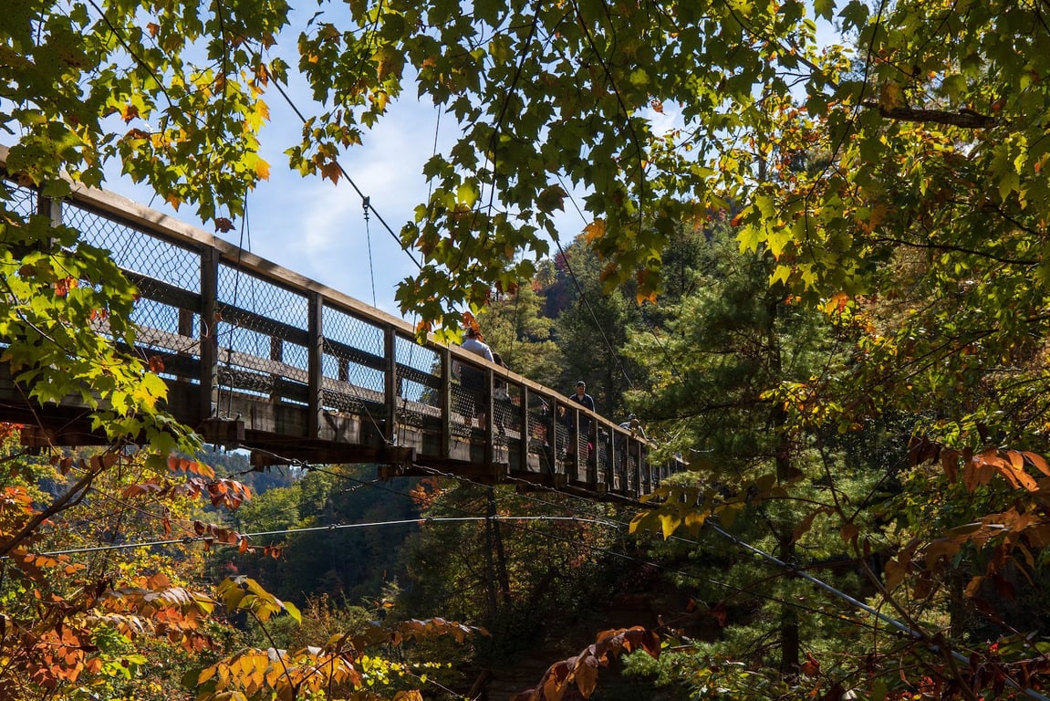 Tallulah Gorge Suspension Bridge