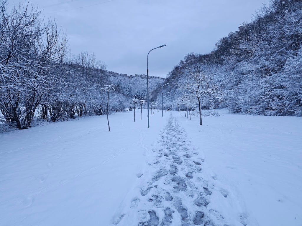 Germia Park