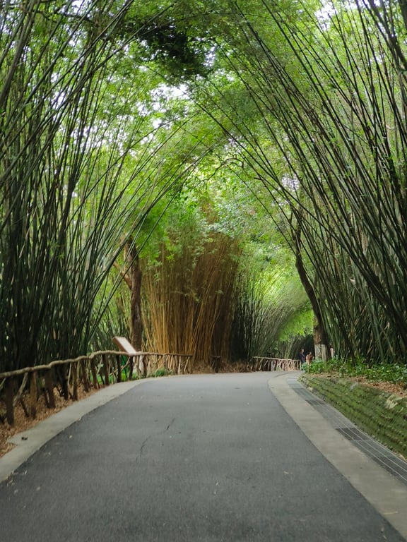 Giant Panda Breeding Center