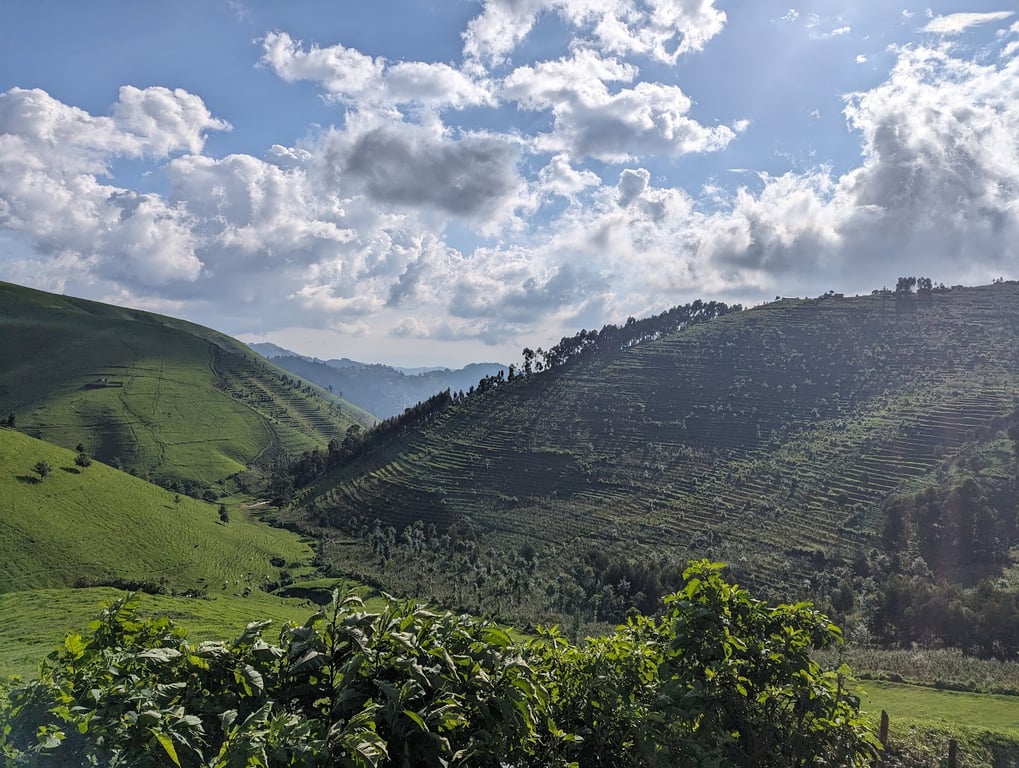 Gishwati-Mukura National Park