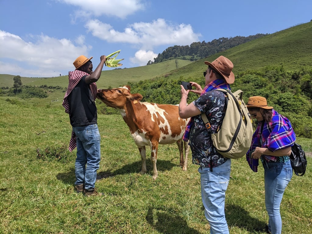 Gishwati-Mukura National Park