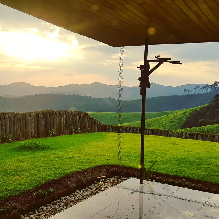 Gisovu Tea Estates