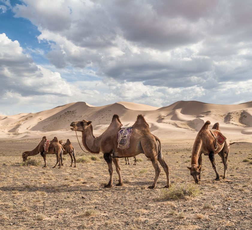 Gobi Gurvansaikhan NP