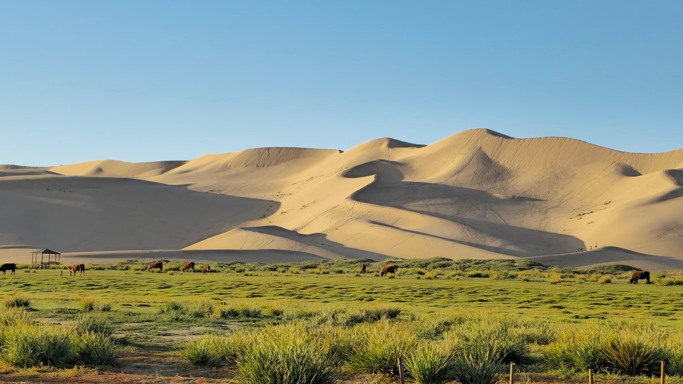 Gobi Gurvansaikhan NP