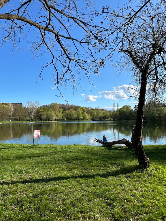 Grădina Botanică