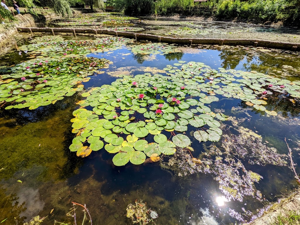 Grădina Botanică