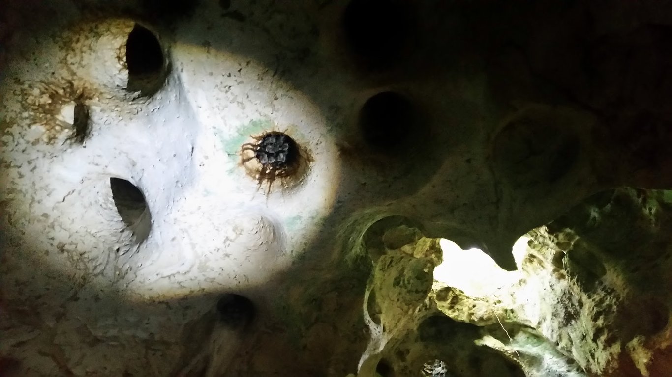 Green Grotto Caves