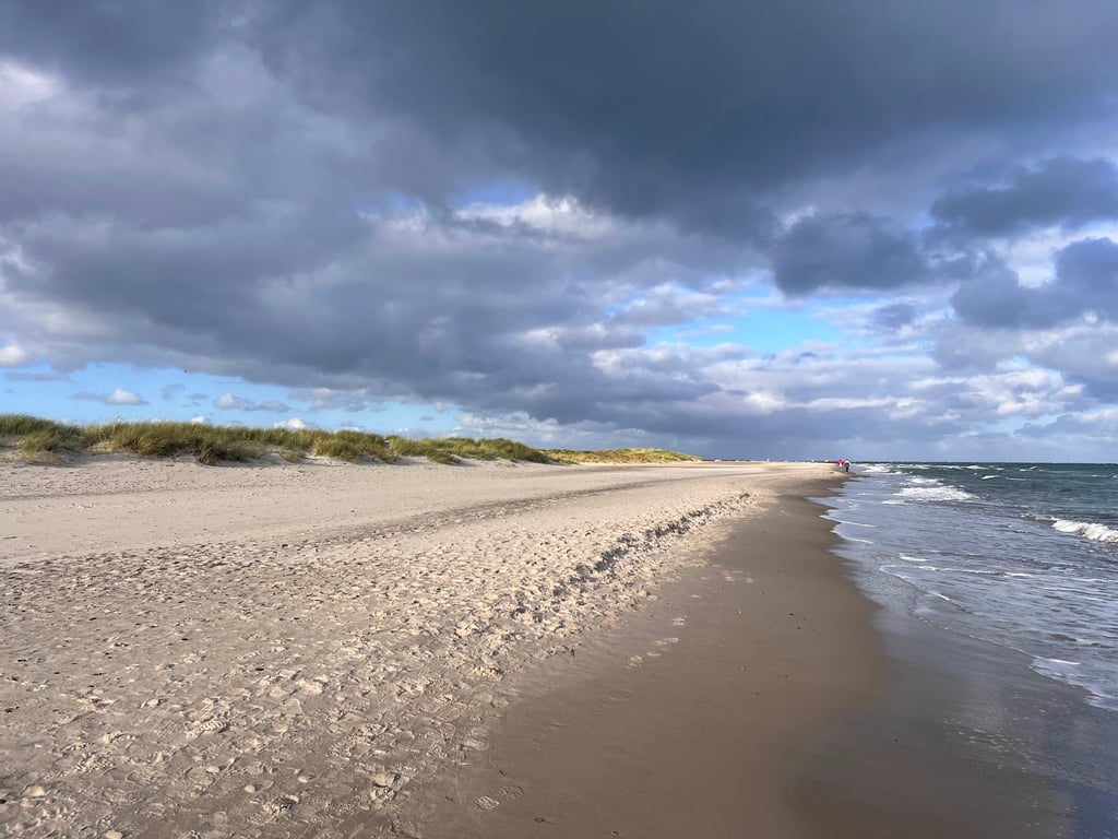 Grenen
