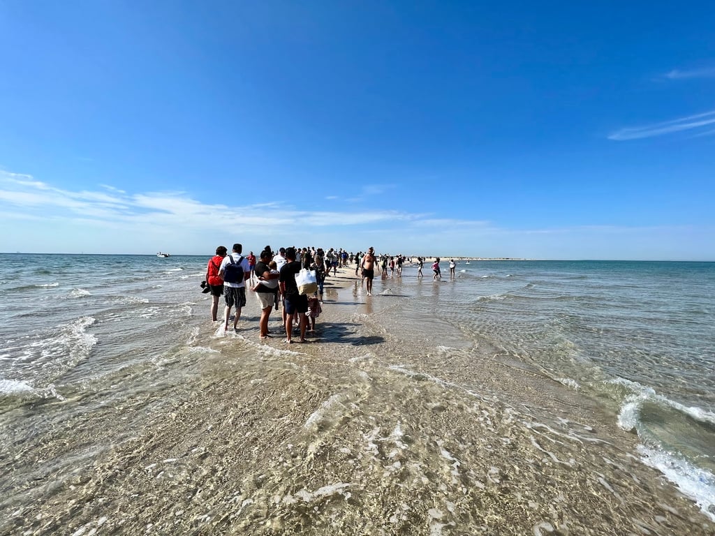 Grenen