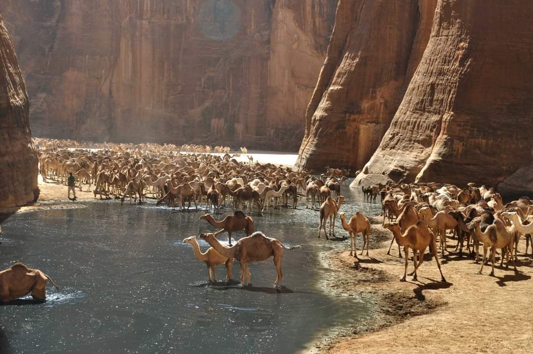 Guelta d’Archei