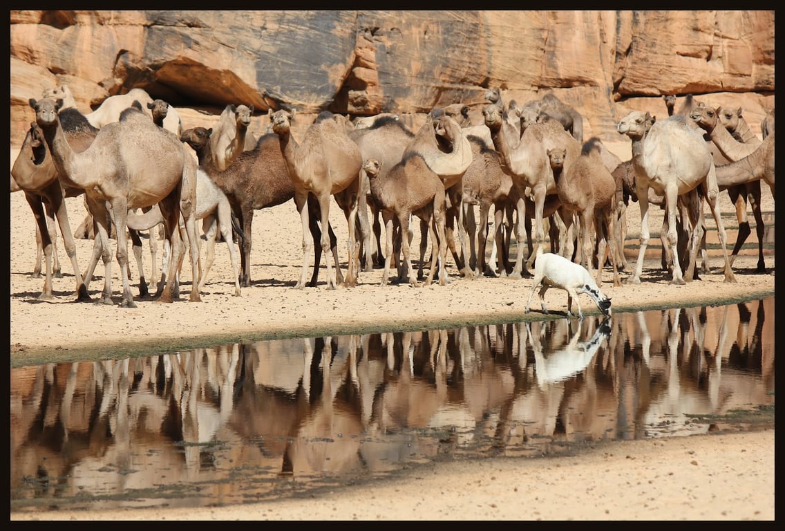 Guelta d’Archei